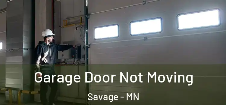  Garage Door Not Moving Savage - MN
