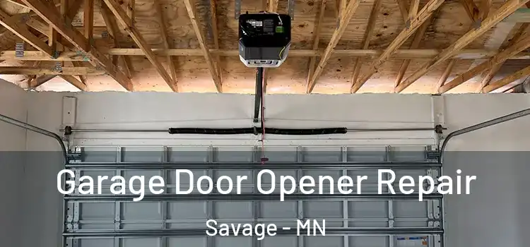  Garage Door Opener Repair Savage - MN
