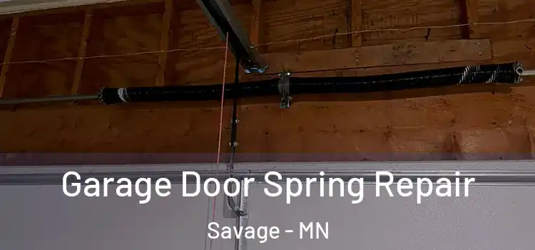  Garage Door Spring Repair Savage - MN
