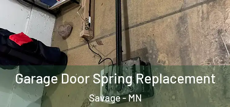 Garage Door Spring Replacement Savage - MN