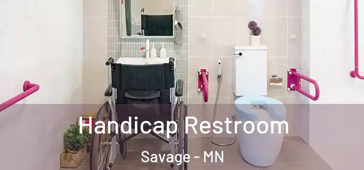  Handicap Restroom Savage - MN