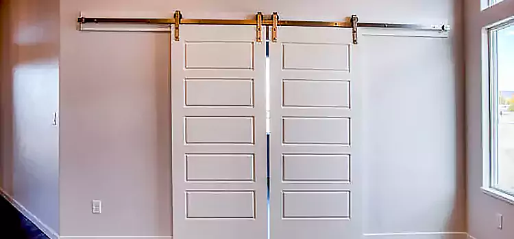 Glass Barn Door with Installation Hardware Kit Savage