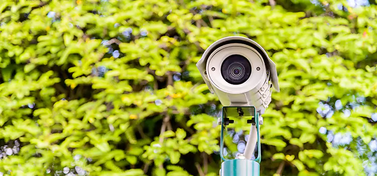 Advanced Surveillance Solutions for Every Need in Savage