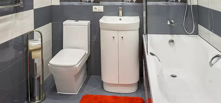 Hansgrohe Shaving Mirror Savage