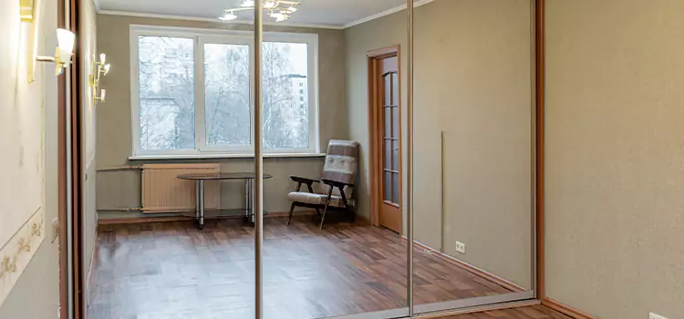 Mirror Closet Door Roller Replacement Savage