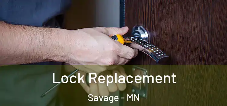  Lock Replacement Savage - MN